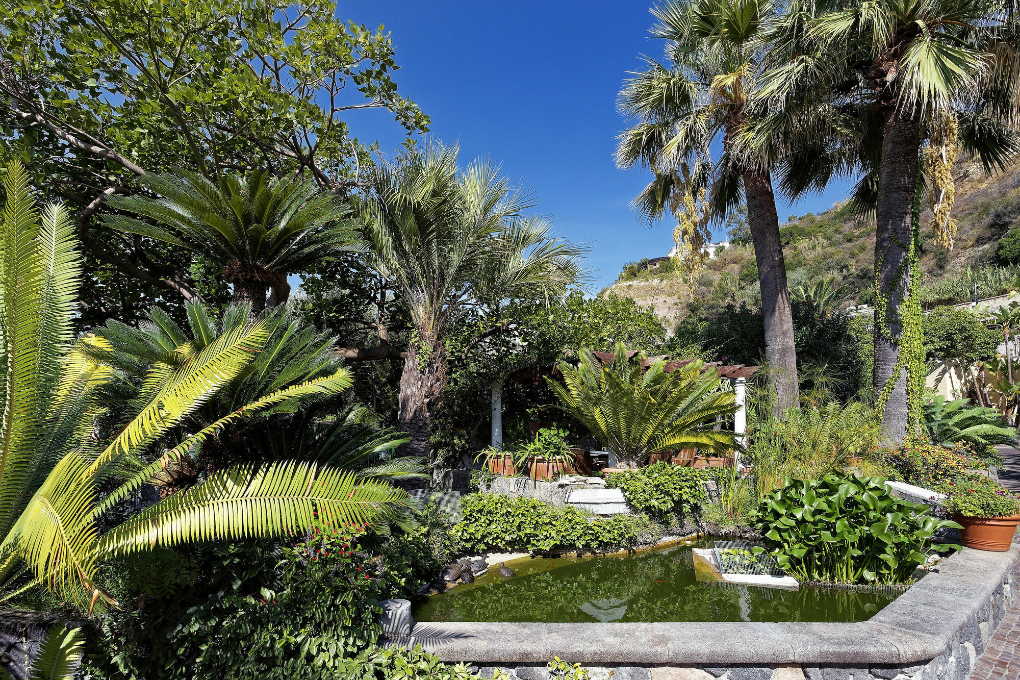 Hotel Parco Smeraldo Terme Barano dʼIschia Extérieur photo